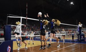 Regarding The 'Demons In The Den' Article: A Letter to the Editor