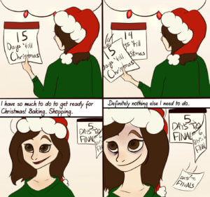 Holiday Fever