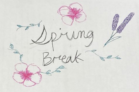 Something is Better than Nothing: Spring Break Boredom Guide