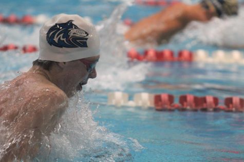 Boys Swim and Dive at 5A State Championships (Photo Gallery)