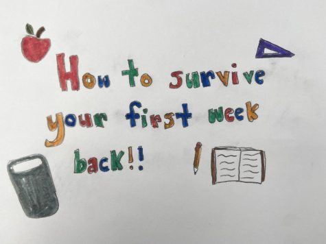 Don’t Stress: How to Survive Your First Week Back