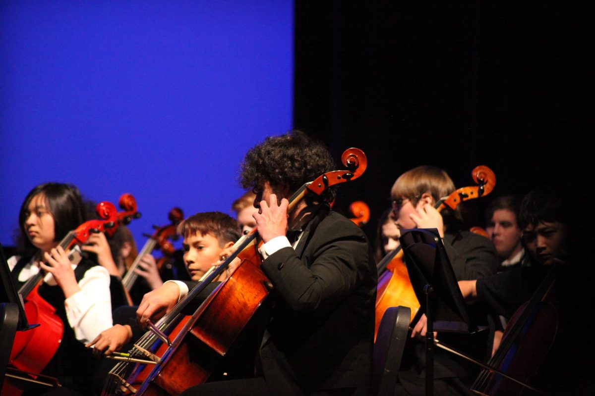 Feeder Orchestra Concert [PHOTO GALLERY]