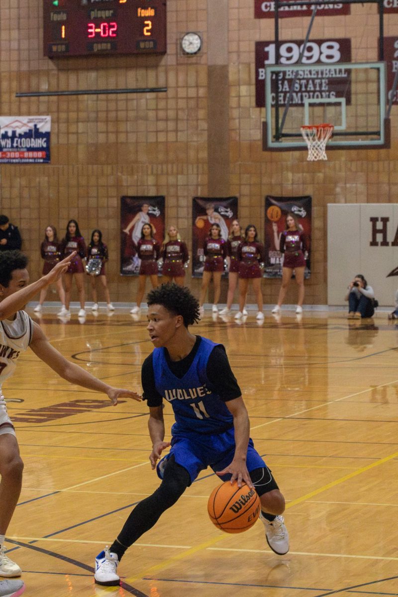 Breven Anderson (12) dribbling against  Horizon high school. 