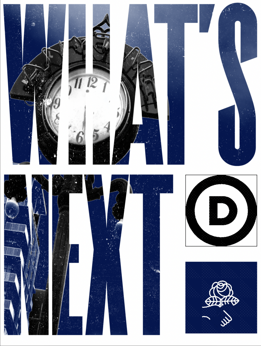 Does the Democratic Party Have a Future?