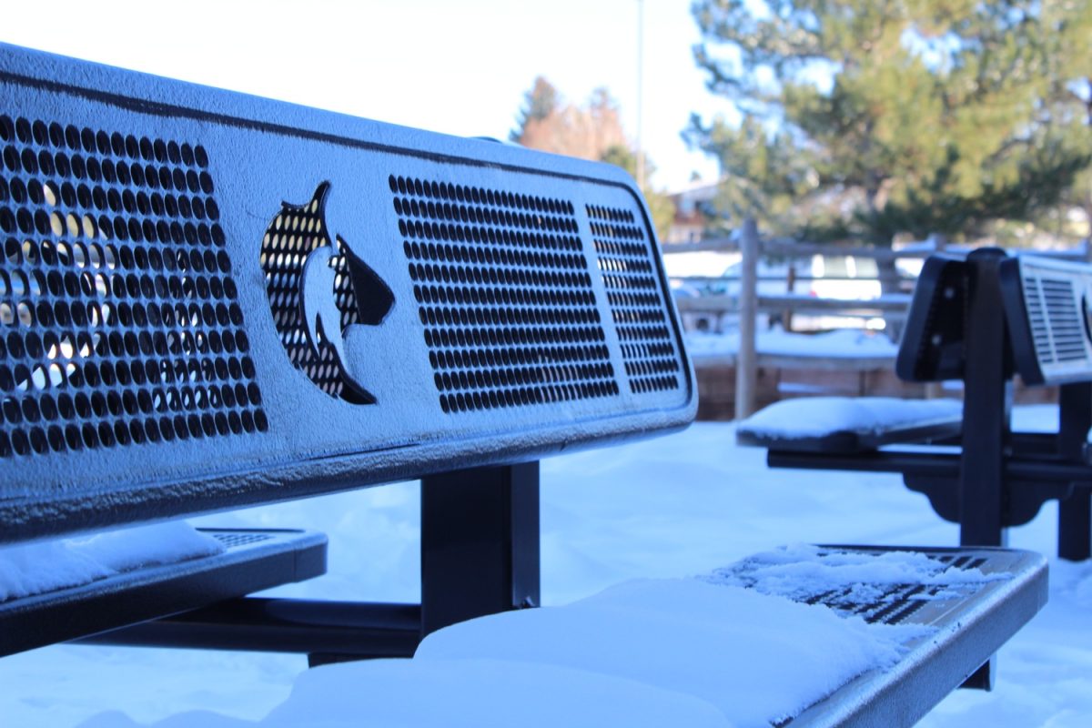 Snowfall on a Grandview bench.