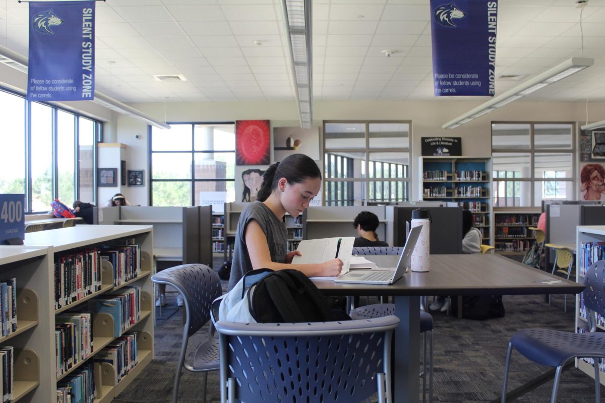Debate Grows Over SAT’s Role in College Admissions